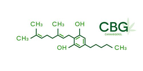 cbd-nutrition-cbd-blogs-alles-ueber-cannabigerol-1