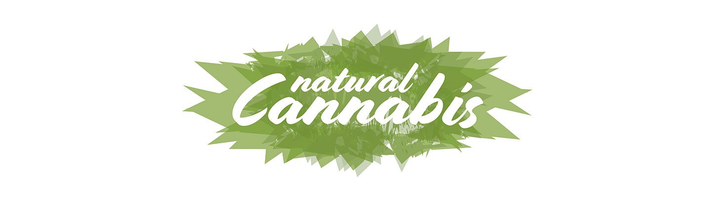 cbd-nutrition-cbd-blogs-premium-cbd-blueten-von-cbd-nutrition