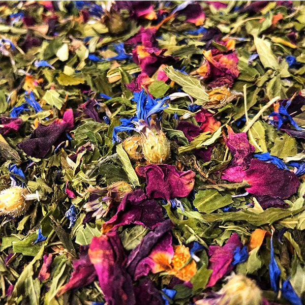 cbd-nutrition-cbd-tee-morning-star-bio-hanf-gruentee-01 cbd-nutrition-cbd-tee-morning-star-bio-hanf-gruentee-01