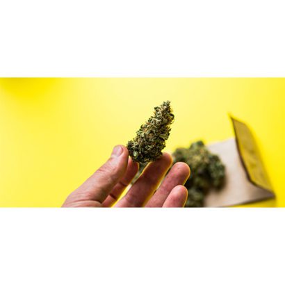 cbd-nutrition-cbd-blogs-was-sind-cannabis-trichome-2